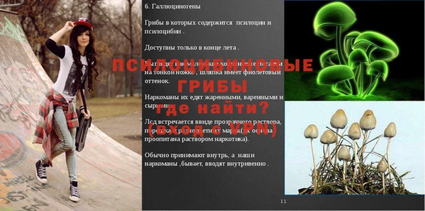 spice Баксан